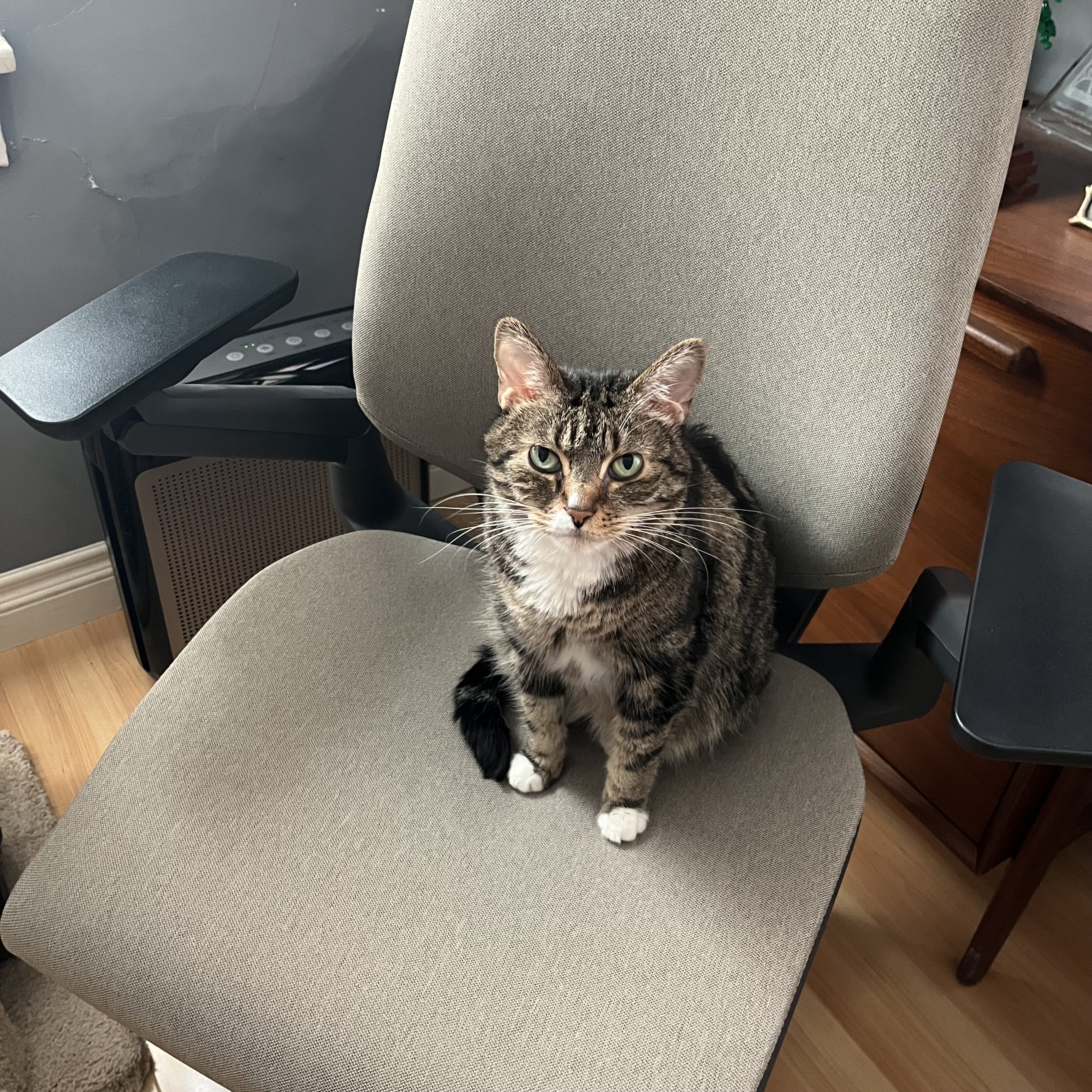 NANCY Intelligent Operations Center