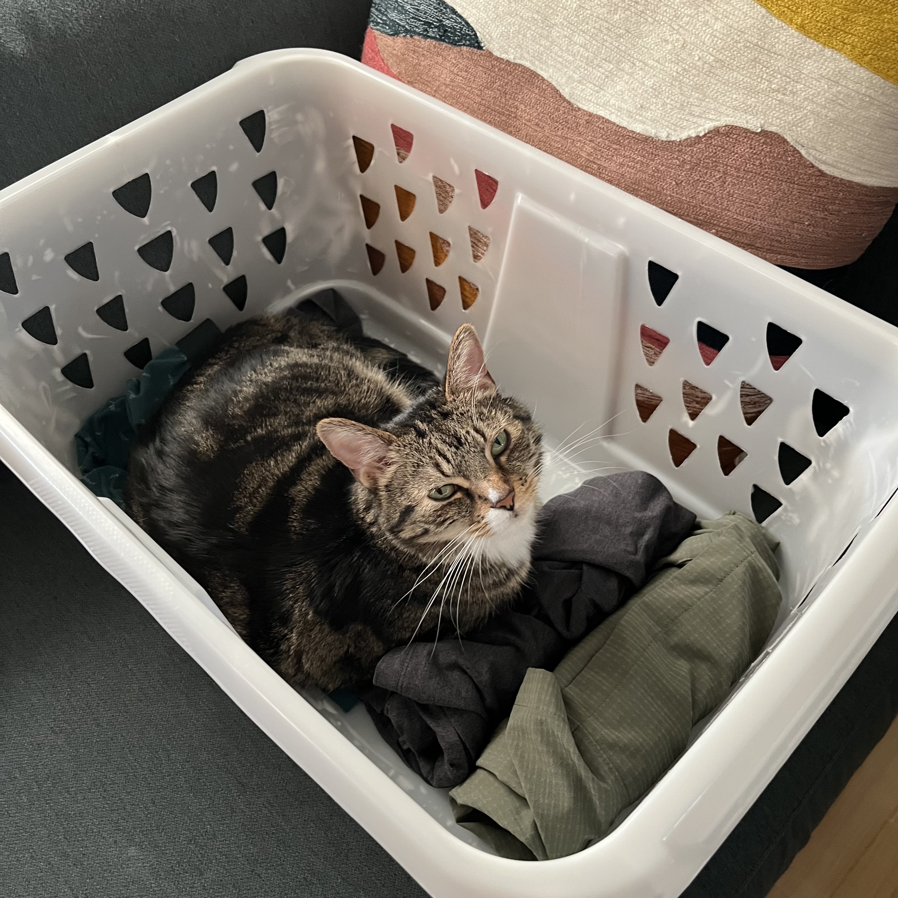 NANCY Container Orchestration Platform